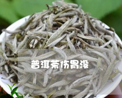 普洱茶伤胃没/2023042892888