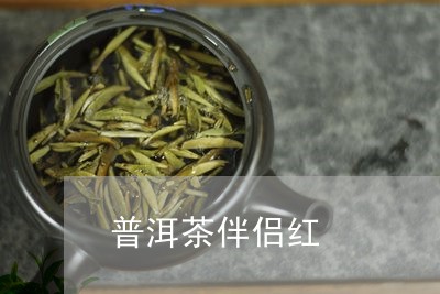 普洱茶伴侣红/2023042733326