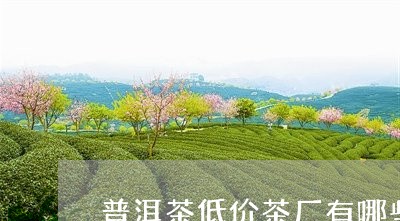 普洱茶低价茶厂有哪些地方/2023112563806