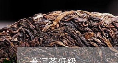 普洱茶低级/2023090680393