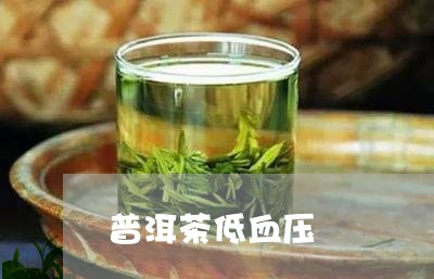 普洱茶低血压/2023042633041