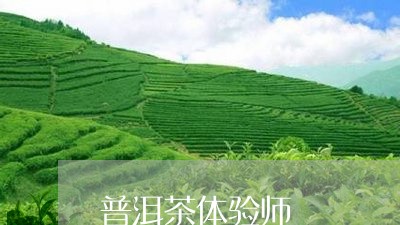 普洱茶体验师/2023042858019