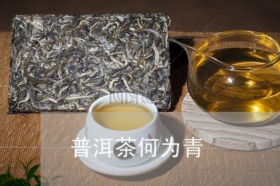 普洱茶何为青/2023042668678