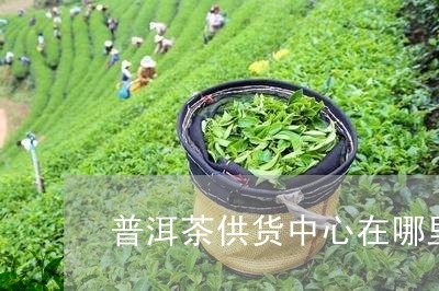 普洱茶供货中心在哪里/2023112546484