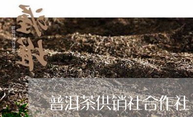 普洱茶供销社合作社/2023112673725