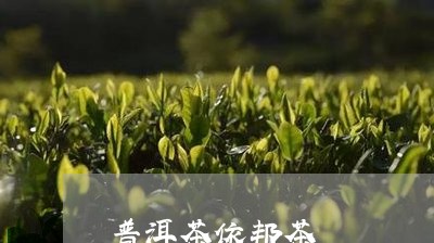 普洱茶依邦茶/2023042952915