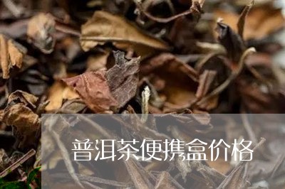 普洱茶便携盒价格/2023082927272