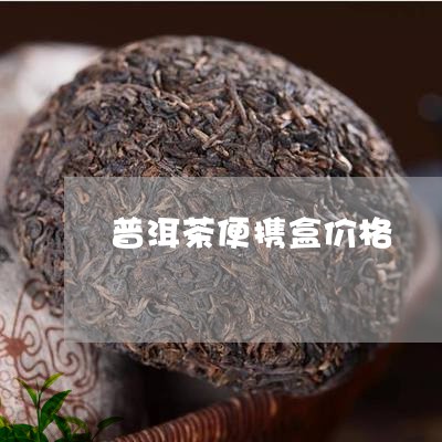 普洱茶便携盒价格/2023121691137