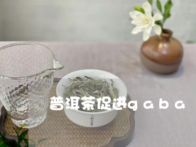 普洱茶促进gaba/2023070987156