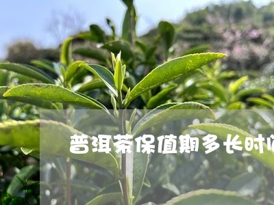 普洱茶保值期多长时间/2023101741048