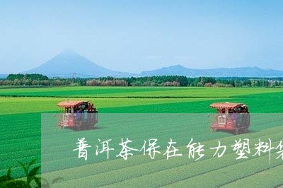 普洱茶保在能力塑料袋/2023092784471