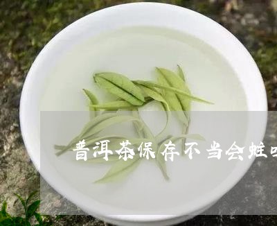 普洱茶保存不当会蛀吗/2023062128270