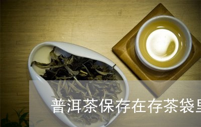 普洱茶保存在存茶袋里可以吗/2023052773958