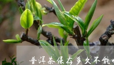 普洱茶保存多久不能喝/2023100699480