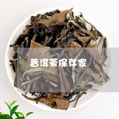 普洱茶保存家/2023042842990