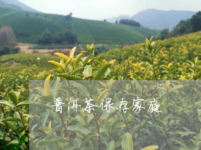 普洱茶保存家庭/2023082946168