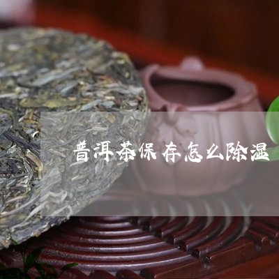 普洱茶保存怎么除湿/2023110682814