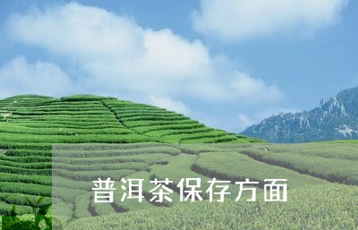 普洱茶保存方面/2023082982796