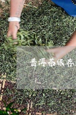 普洱茶保存最高境界是什么茶/2023082889724