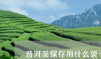 普洱茶保存用什么袋子/2023100628482