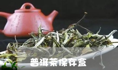 普洱茶保存盒/2023042746644