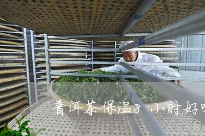 普洱茶保温8小时好吗/2023062147464