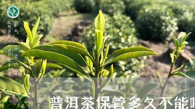 普洱茶保管多久不能喝茶/2023082950505