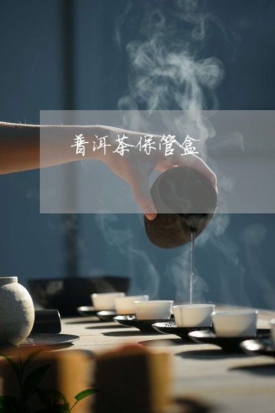 普洱茶保管盒/2023042838691