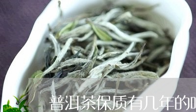 普洱茶保质有几年的吗能喝吗/2023082802717