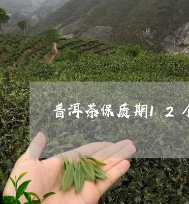 普洱茶保质期12个月/2023092697260