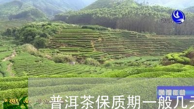 普洱茶保质期一般几天/2023061507179