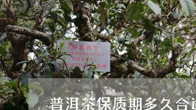 普洱茶保质期多久合适/2023061777471