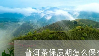 普洱茶保质期怎么保存/2023062362748