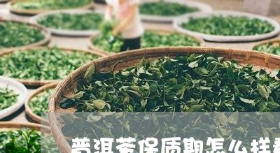 普洱茶保质期怎么样看真假/2023110456139