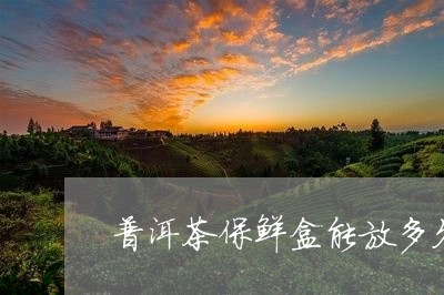 普洱茶保鲜盒能放多久/2023061864726