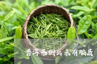 普洱茶倒出来有胶质/2023091552816