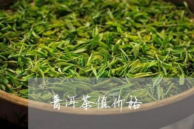 普洱茶值价格/2023042683188