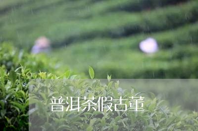 普洱茶假古董/2023042660997