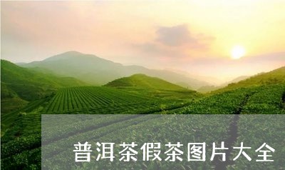 普洱茶假茶图片大全/2023070965340