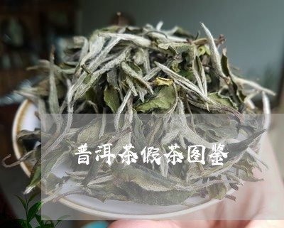 普洱茶假茶图鉴/2023101617380