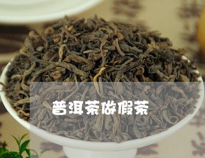 普洱茶做假茶/2023042837157