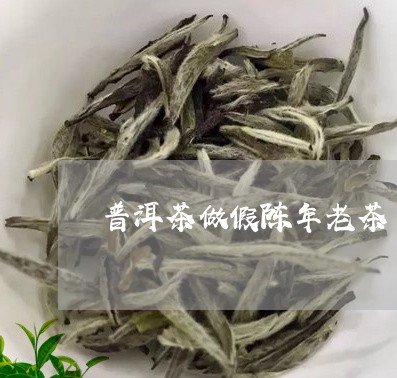 普洱茶做假陈年老茶/2023091443037