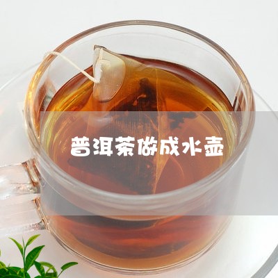 普洱茶做成水壶/2023102615938