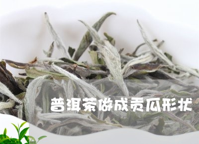 普洱茶做成贡瓜形状/2023121602837