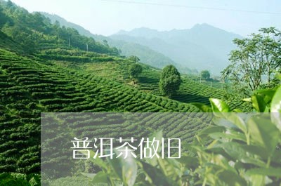 普洱茶做旧/2023090645158