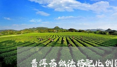 普洱茶做法搭配比例图解/2023121629493