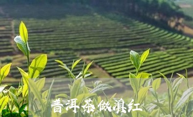 普洱茶做滇红/2023042708540