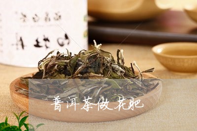 普洱茶做花肥/2023042738900