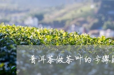 普洱茶做茶叶的步骤图文/2023110613827