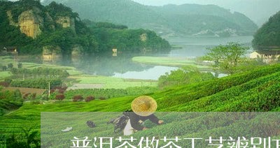 普洱茶做茶工艺辨别方法/2023120789274